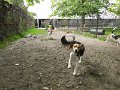 Afb_20160715 (5)